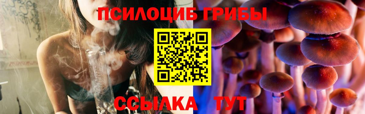 Симферополь  закладки  Вход с VPN  Галлюциногенные грибы Psilocybe 